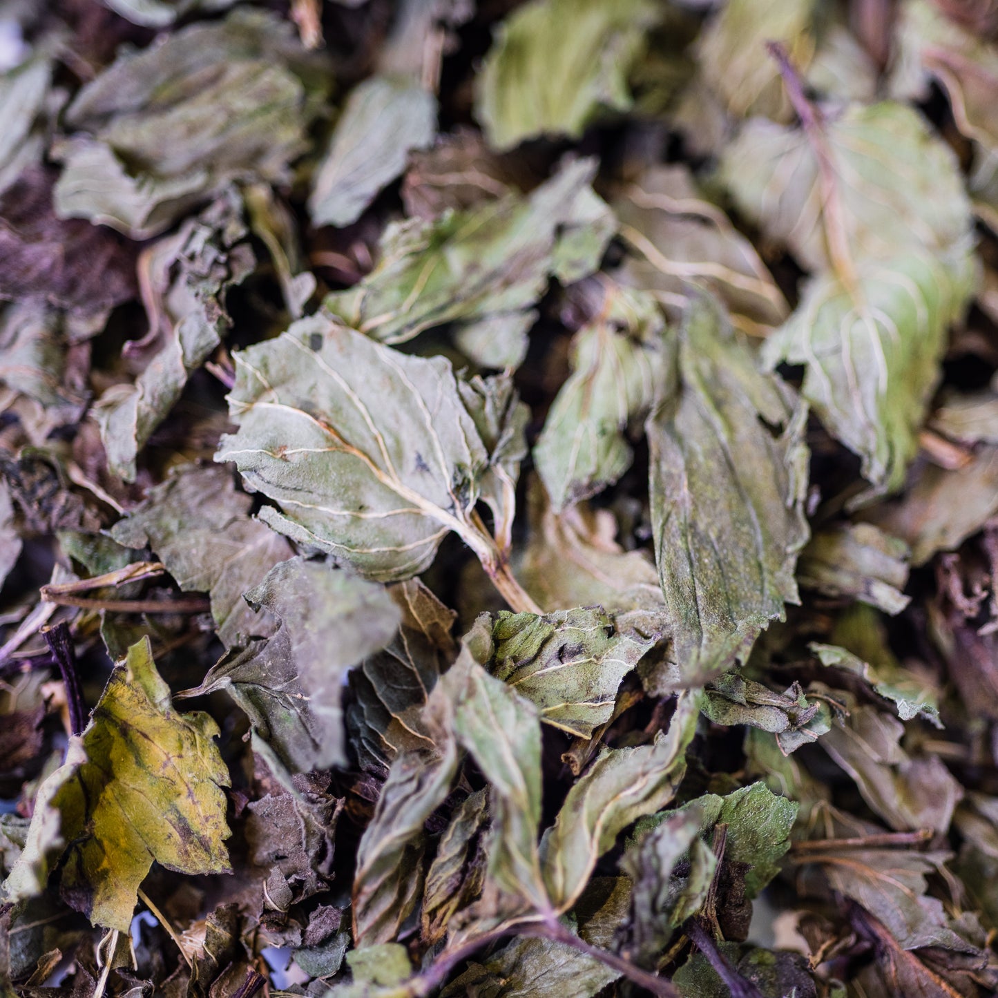 Menthe poivree bio feuille france