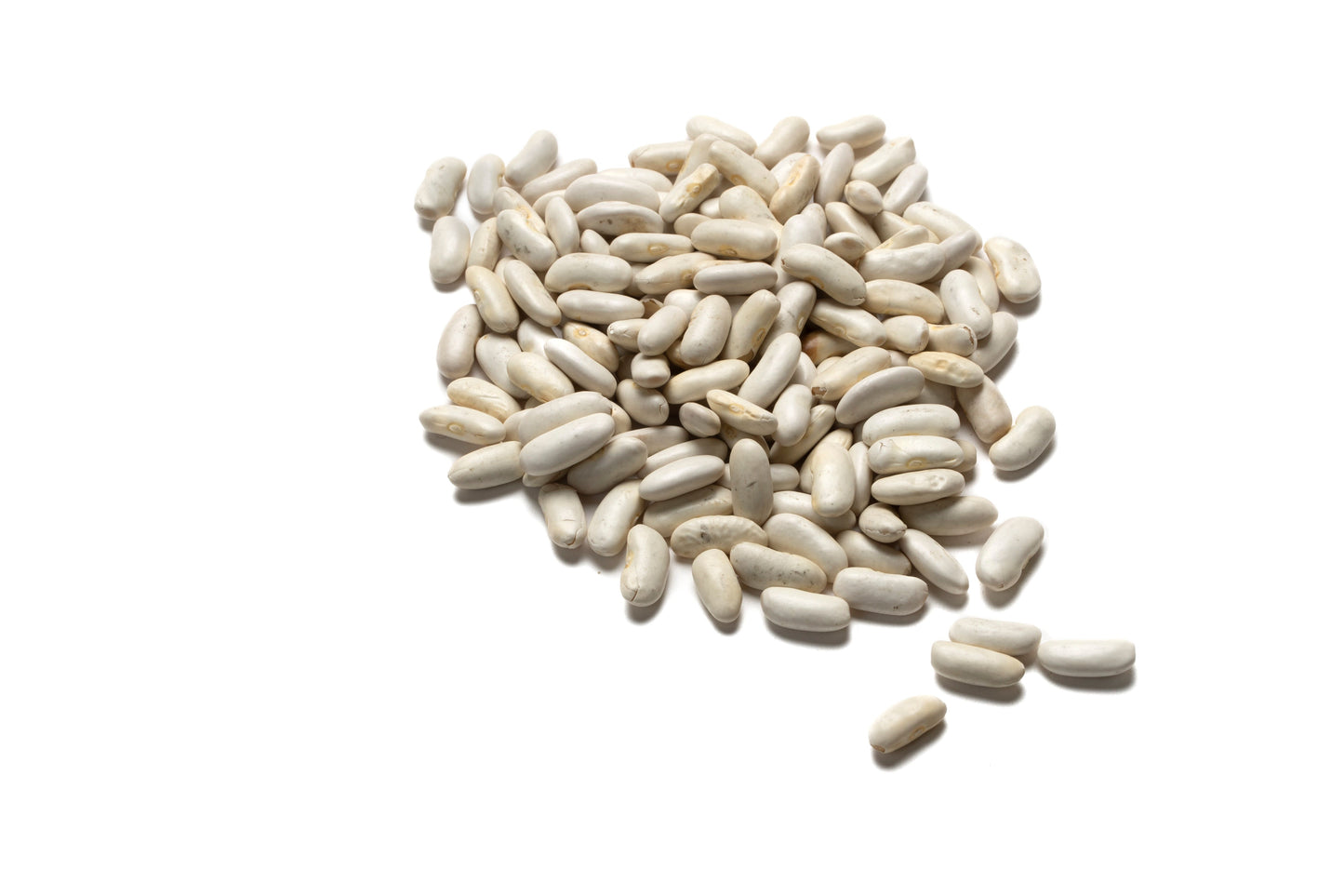 Haricot lingot blanc bio France