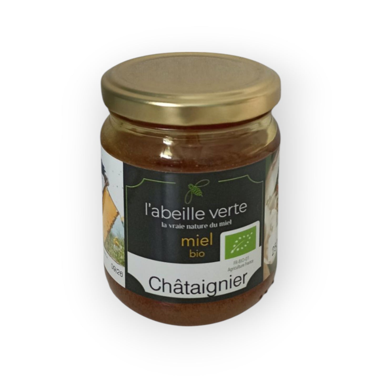 Miel de Chataignier BIO