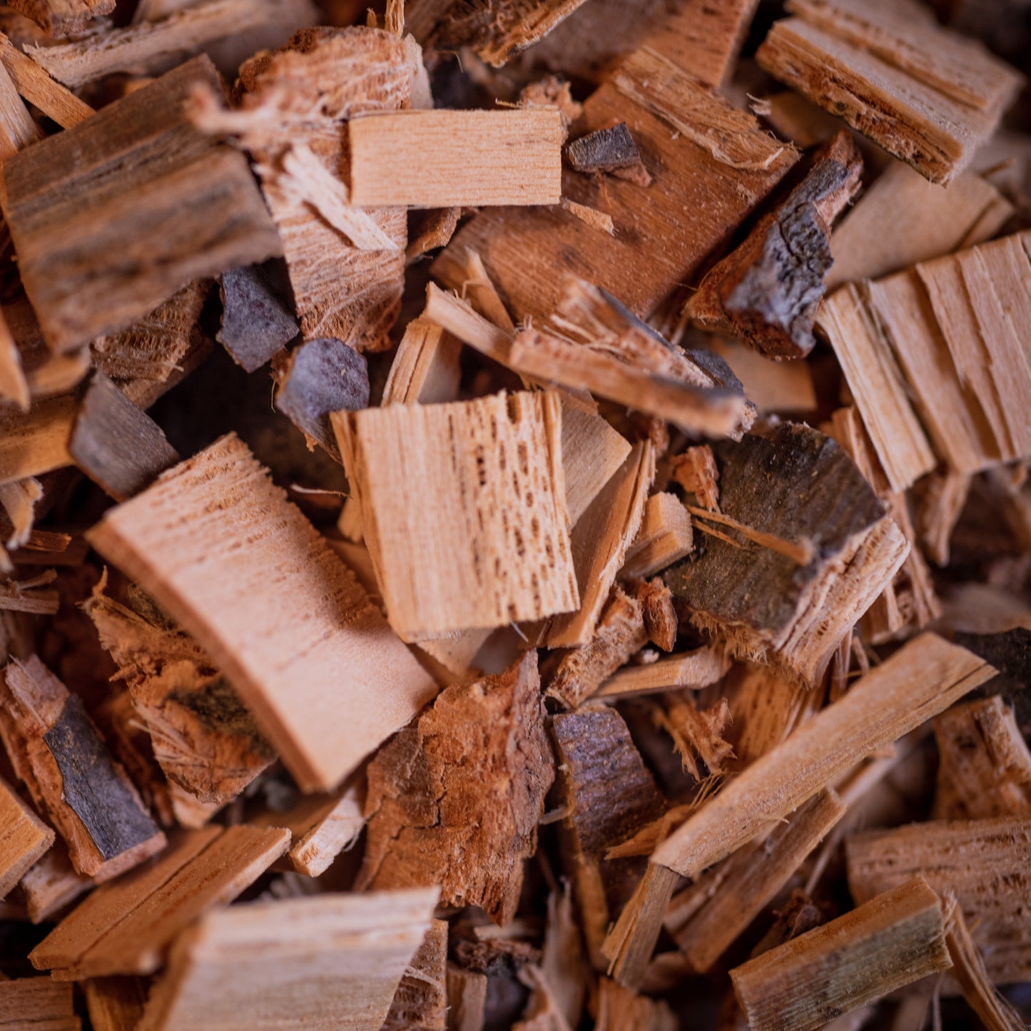 Tilleul BIO aubier france