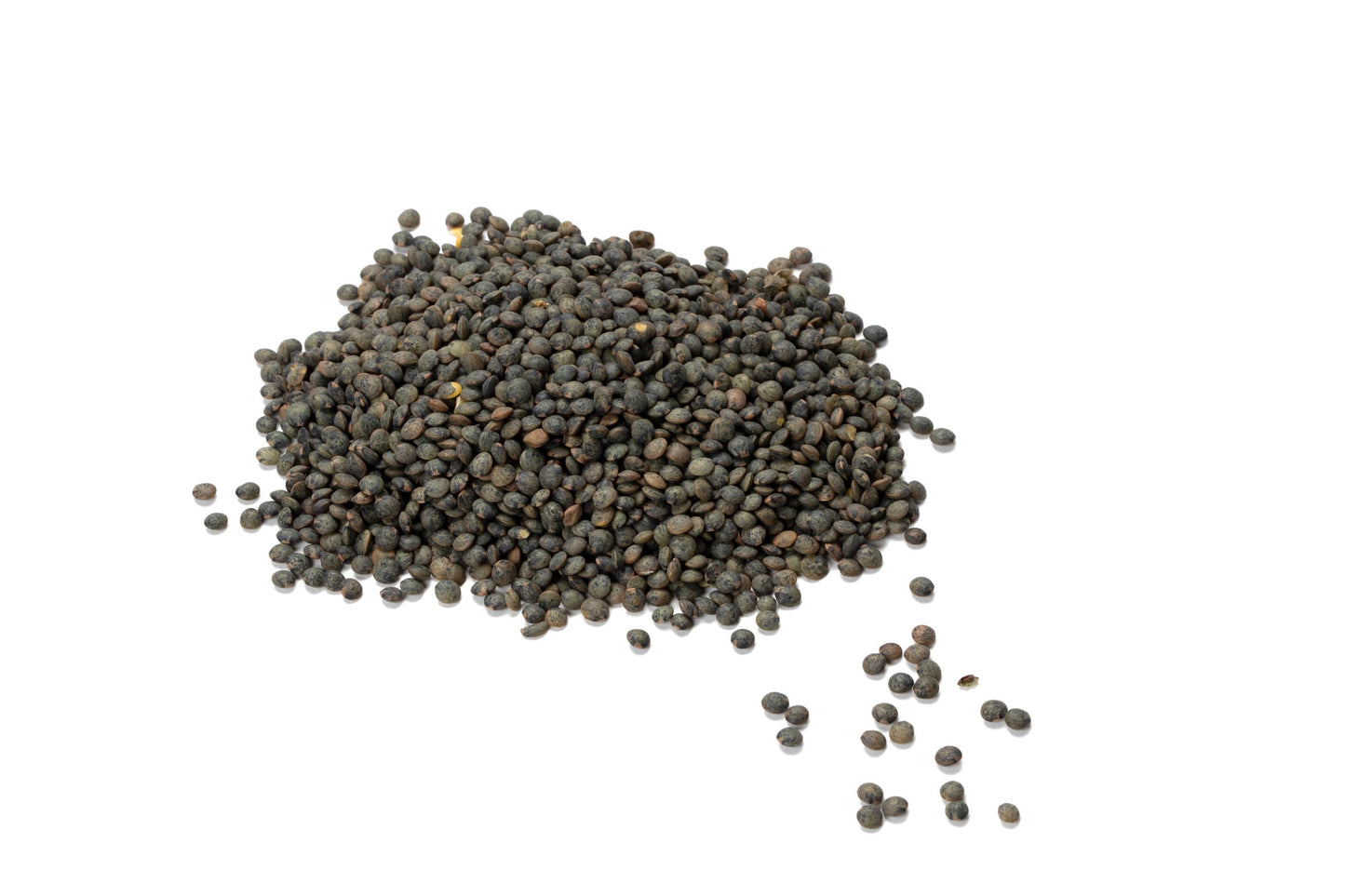 Lentille verte bio France